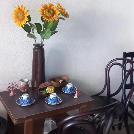 Dumanova House Guest house